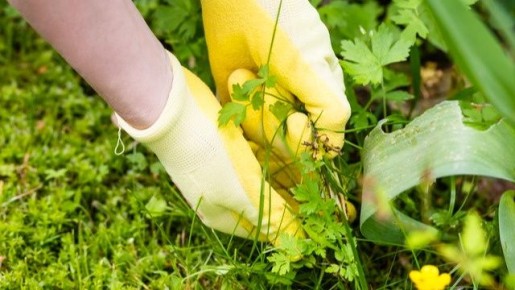 ����������� ������ ������ � ���������: ������� ����� ��� ������ �������