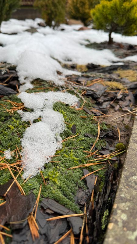 �������������� ��������, ������� ������� ��� ��� �����