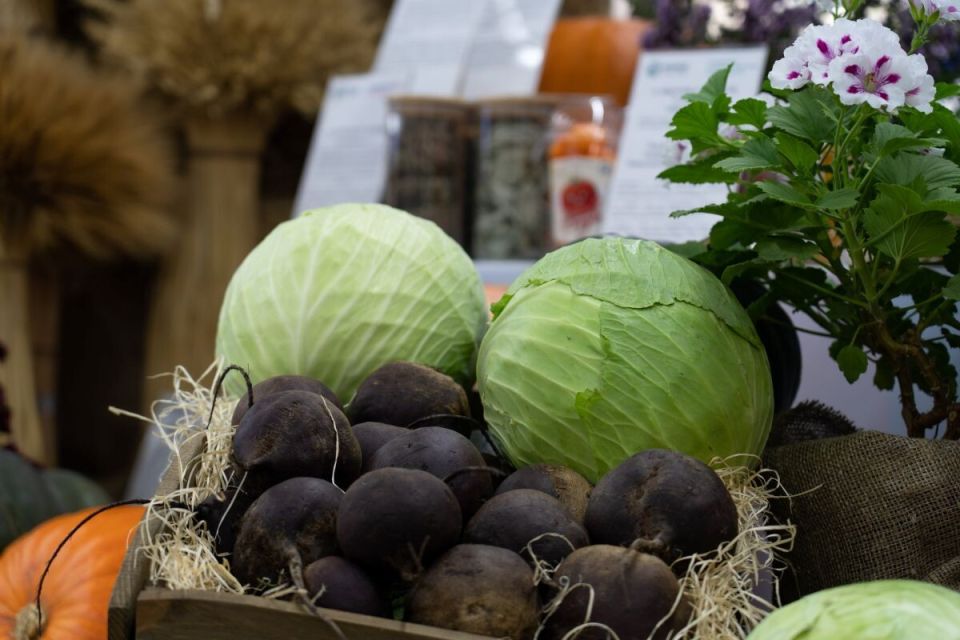 ������������ ������: ��� ������������ ���� ����� ����������