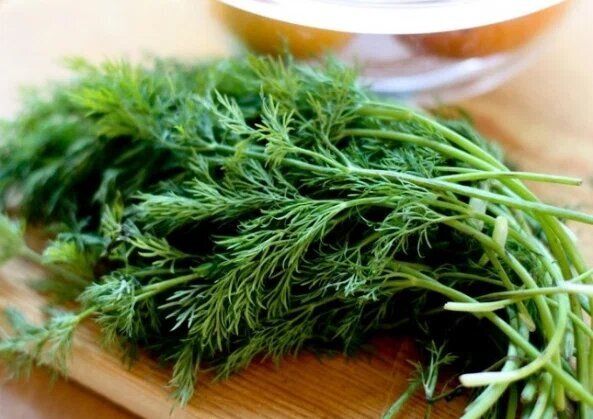 ��� ���������� �����, ����� �� �������� �������� � ������ ���� ������ �����