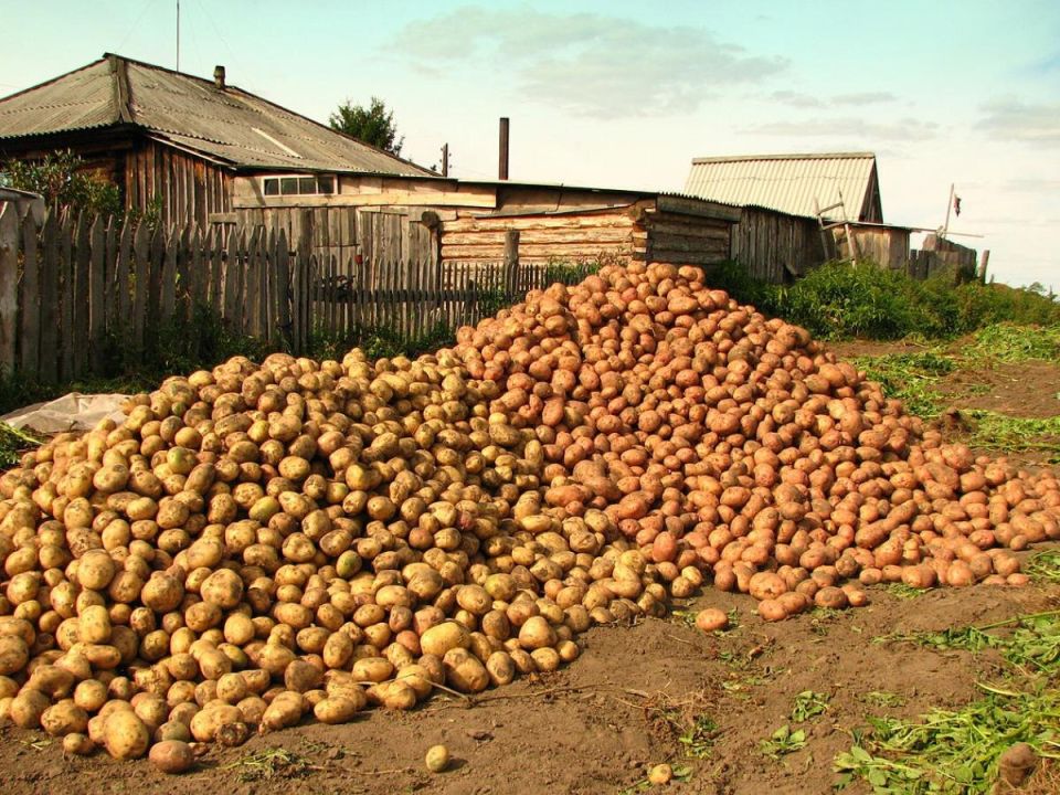 ��� ��������� �������� ��������� � 2026 ����: ������ � ������ ���������