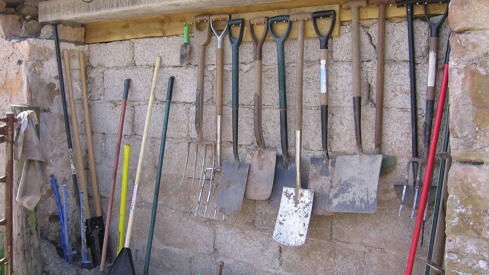 ��� ��������� ������ ������� ���������� � �������� ��� ���� ������