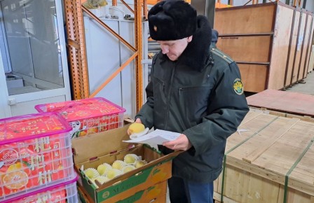 �� ����� ������ �������� ���� � ��������