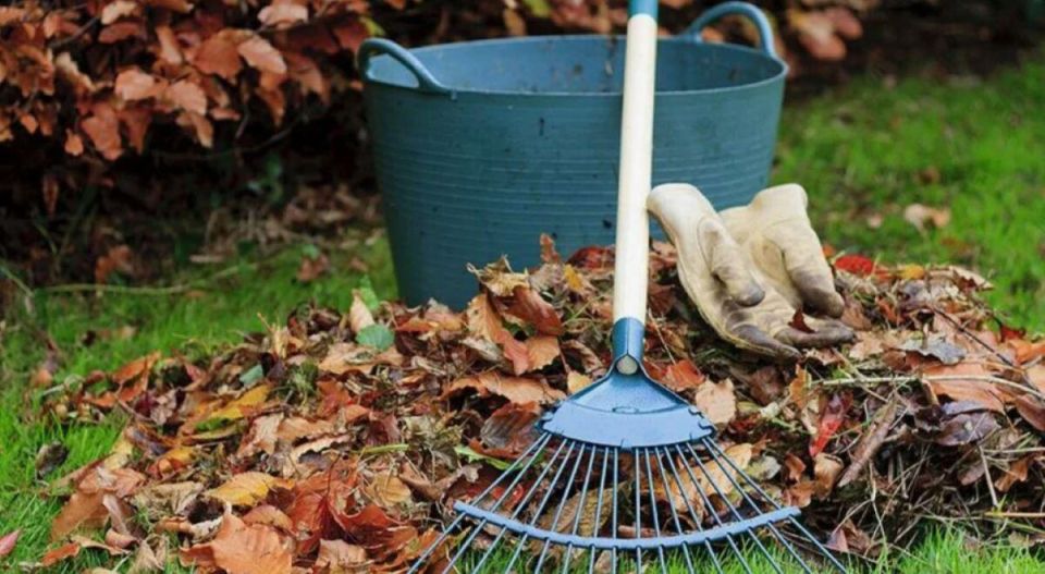 Как обеспечить урожай на следующий год: простые осенние шаги