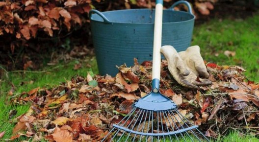 ��� ���������� ������ �� ��������� ���: ������� ������� ����