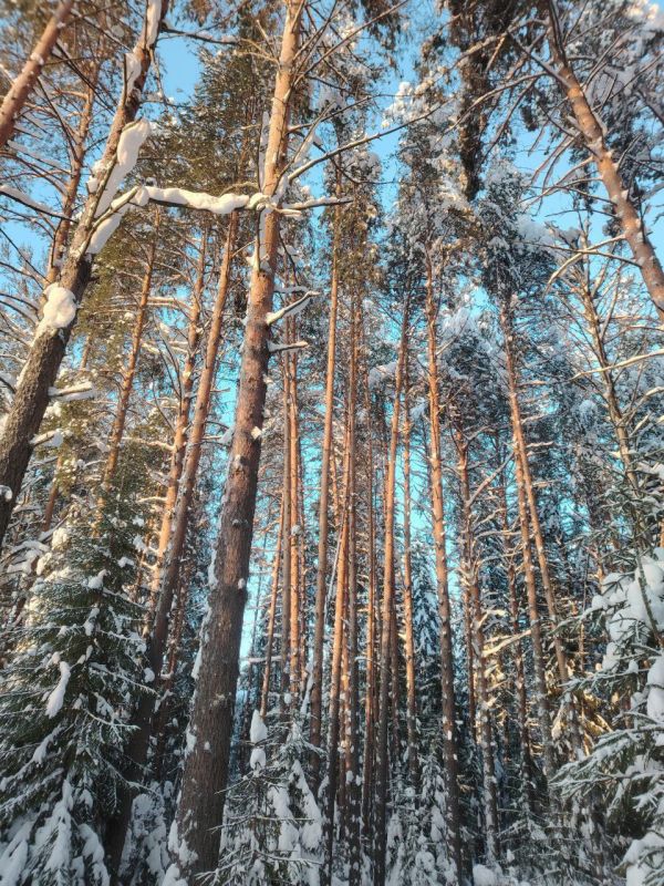 ������ ��������: ��������� ��������! ������� ������� �������� �������� �� ��� ��������� ���������� �� ����� ������, �������� ��������� ���� ���������� ������