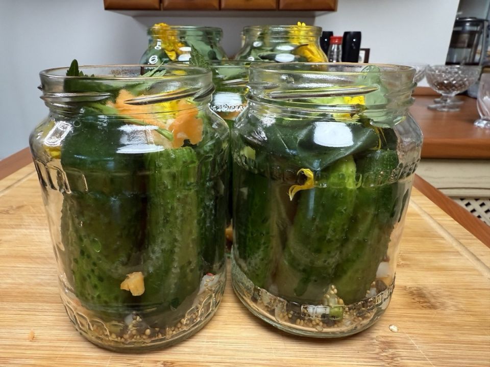 Как вырастить идеальные огурцы для консервирования