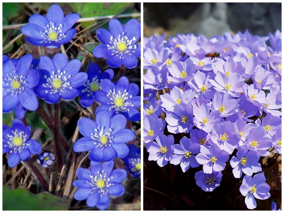 ����� ����� ��� ������ ����: ������ �������� �� ������� ���������