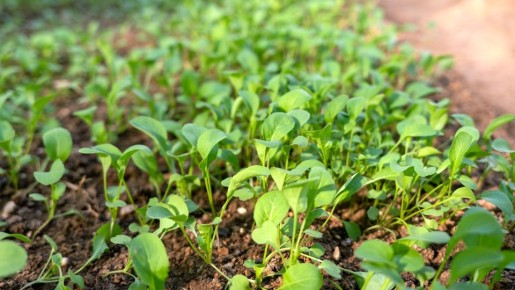 ���� ����� ����������� ������ ����� ������: �������� �� ��� � ���