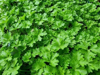 �������� �� ��� ���: ������������ ����������, � ������� ������ ��� �������