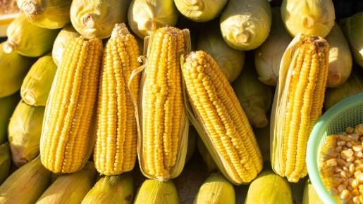 ������� �������� ����� ������ ����� �� 10 �����: ��������-������ � �������������