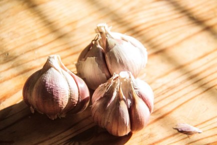 �� ������� ����������� ������: ��� ����������� ������-��������� �������� � ������� ��� ������