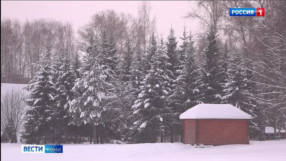 О погоде на новую неделю: после небольшой передышки в Коми вернутся морозы