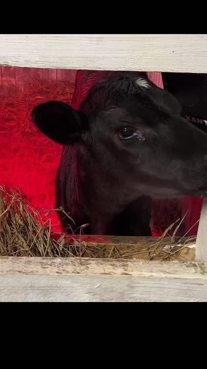 � ����� �������������� ������ ������� ���������� �����