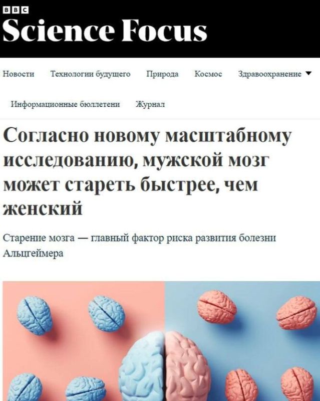 Моложе ли женский мозг? Ученые раскрывают интересные факты о старении