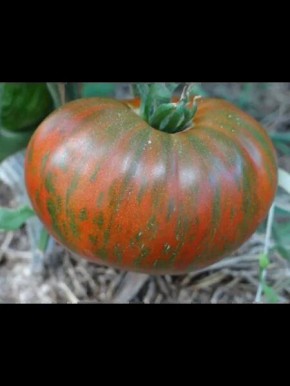 ����� ����� 20: ������� ��������� ����� � ������������� �����