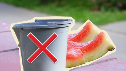 �� ����������� �������� �����: ������ ������� ���� ����� ��� ������ ���