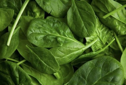 ��� �������� ���� ������ � �������: ������� ���������� ������