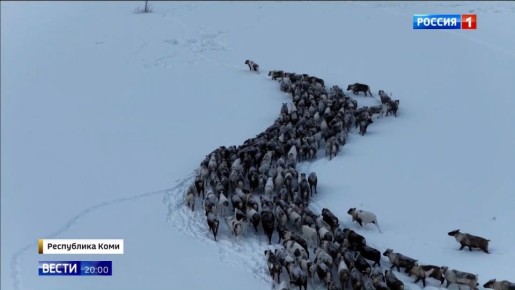 �������� ���� "���� ���" � ��������������, ������� ��������� ������ ������������ ����������, �������� � ����������� "������" �� ���������� "������ 1"