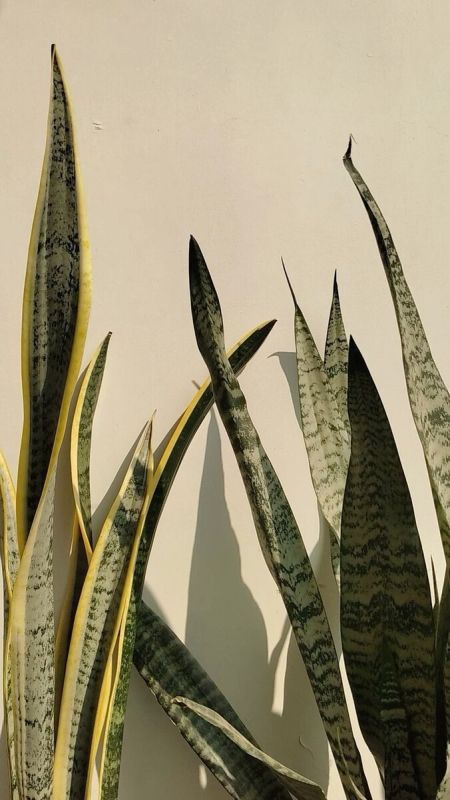 �������� ����: �������� ���� �� ���������� ����������