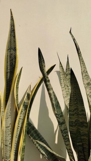 �������� ����: �������� ���� �� ���������� ����������