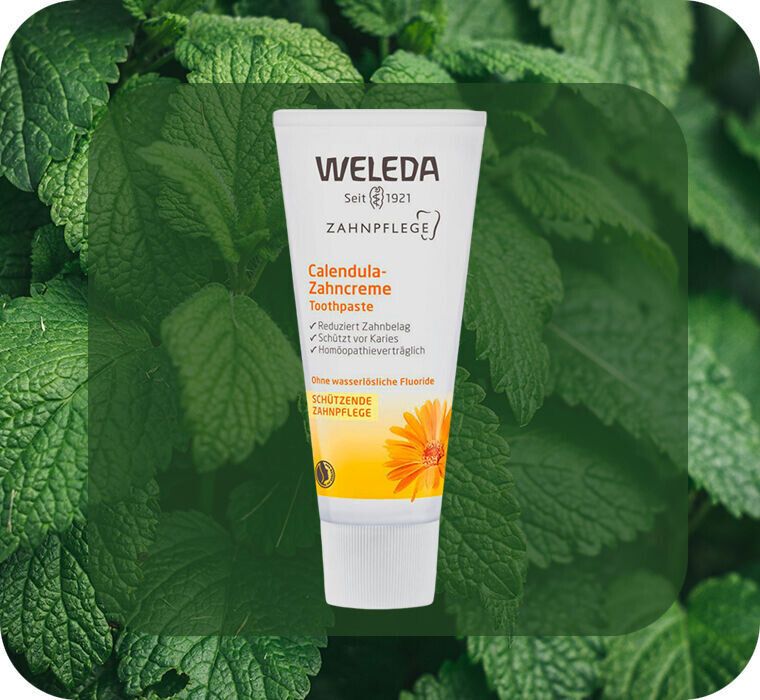 ���� ������������� ������� ��� ����������� ������� ������� ���