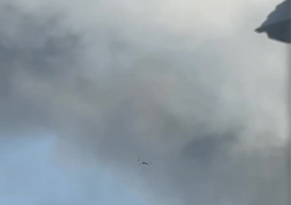 � ������ ���� ���������� ���� ������������� ����� ����������� ����������� ���������