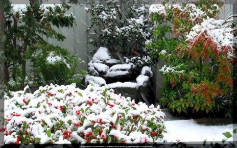 ��� ���������� ������������ ������� �� ����: �������� ������ ��� ���������