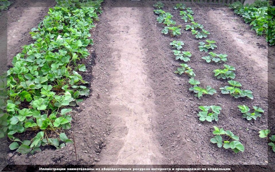 ���� �� ��������� � �������: ������� ��������� ������