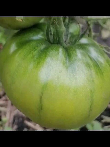 ����� ���� ������: ��� ������� ���� � ������������ ���� �������� �����������