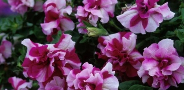 ������������ �������: ����� ��� �������� ���� ��� ���������?