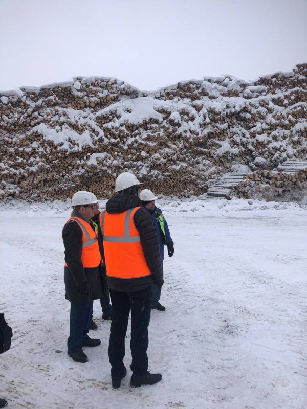 �������� ���������� ���� ����� ������ ���� � �������� ���������� ��� ����-������