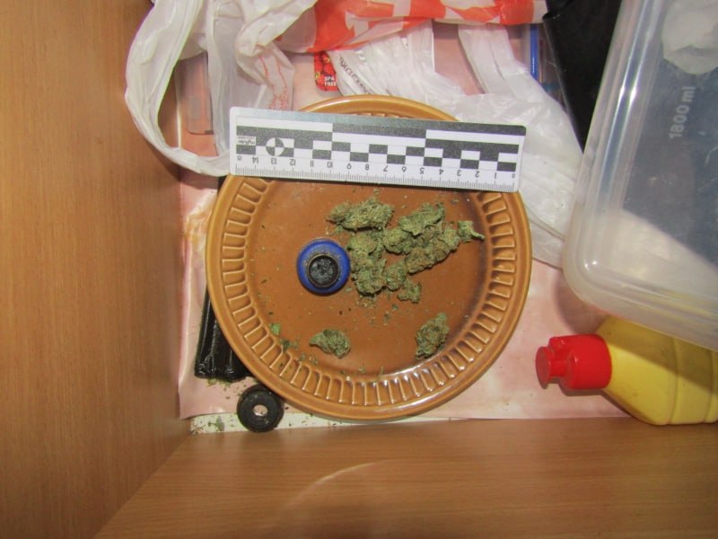 В Воркуте полицейские выявили наркопритон и изъяли из незаконного оборота марихуану и кусты конопли В Воркуте полицейские выявили наркопритон и изъяли из незаконного оборота марихуану и кусты конопли