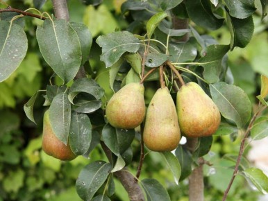 ����� ��������� ��������� �������� �������� �� ����������?