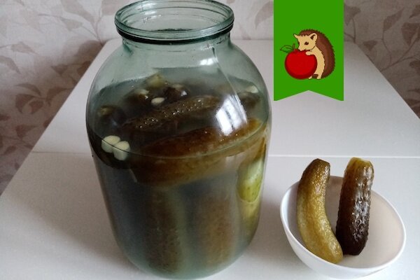 Как реанимировать мягкие огурчики: секрет от опытных хозяек