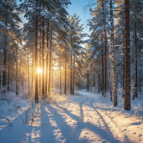 В Коми на масленичной неделе сохранится холодная погода