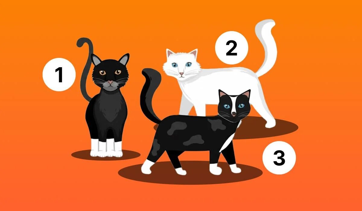 Тест на характер: Какой котёнок отражает вашу сущность?