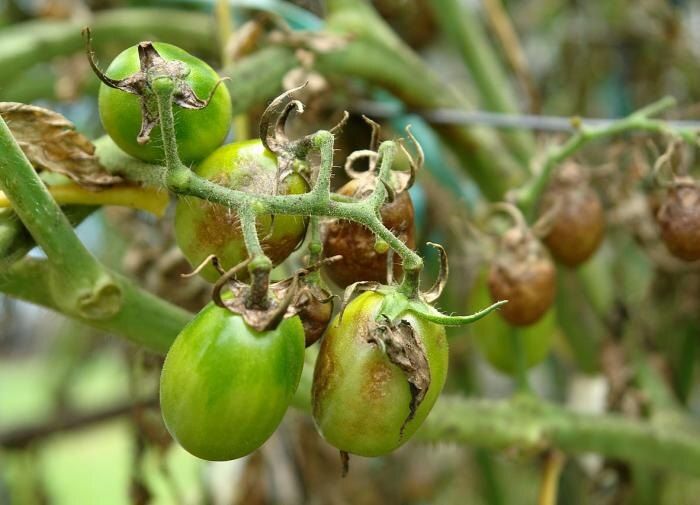 ���������� �������: ��� �� �������� ������