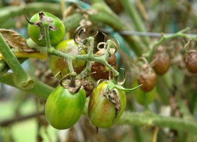 ���������� �������: ��� �� �������� ������