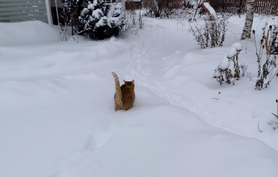 ��� ������� ��������� �������� ������: ������ �� �������� ������