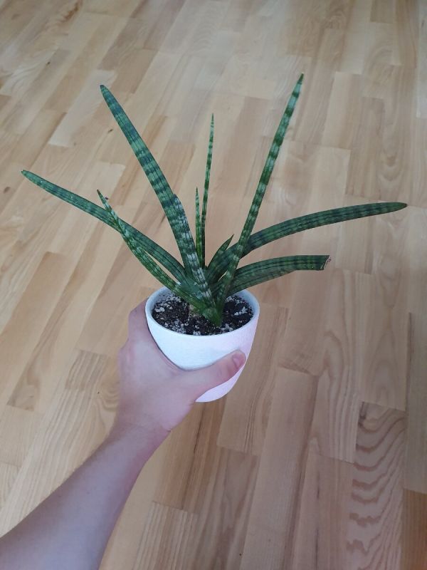 �����������: ������ ��� �������� ����������� ������ ��������� ������������