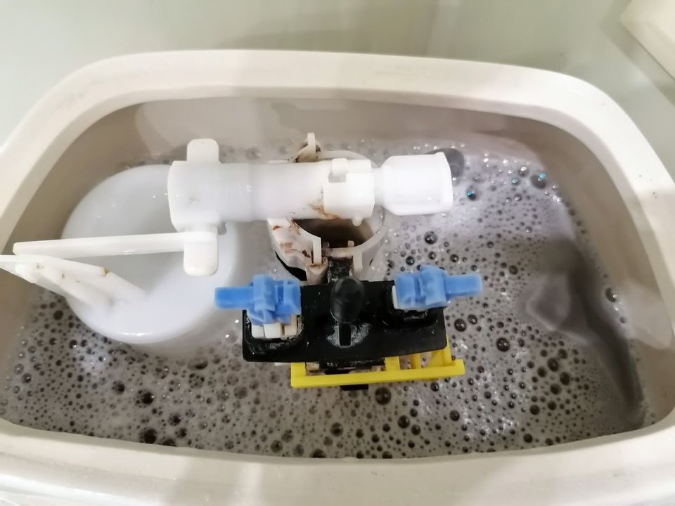 ��� ����� � ������ �������� ������� ����� �������: ������ �� ���������