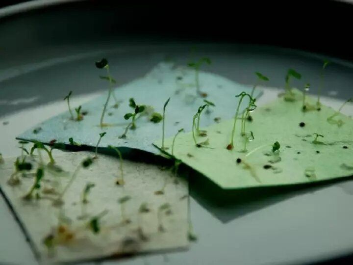 ��� ��������� ������� ��� �����: ����������� ������ � �� ������������