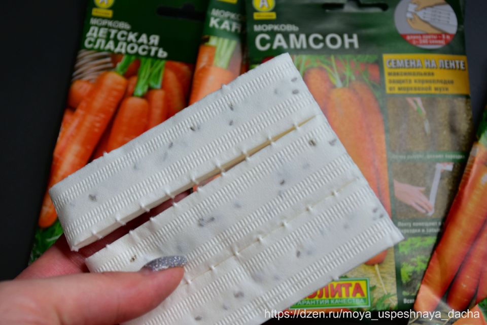 ��� ��������� ��������� ������� �� �����: �������� ��� ��������� ������