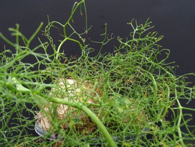 ������: ���������� ����� � ����� ����