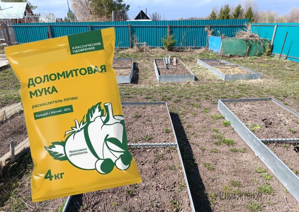 ��� ��������� ������������ ����������� ����: ������ ������ ������������� ���������