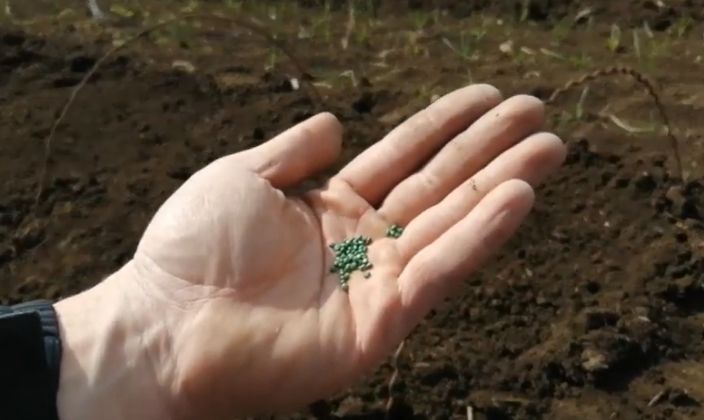 �������� �������� ������� ������: ������ � �������