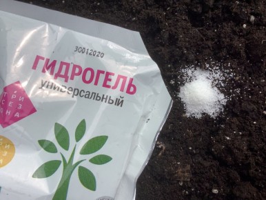 Как обеспечить растения влагой без полива: эффективный гидрогель на даче