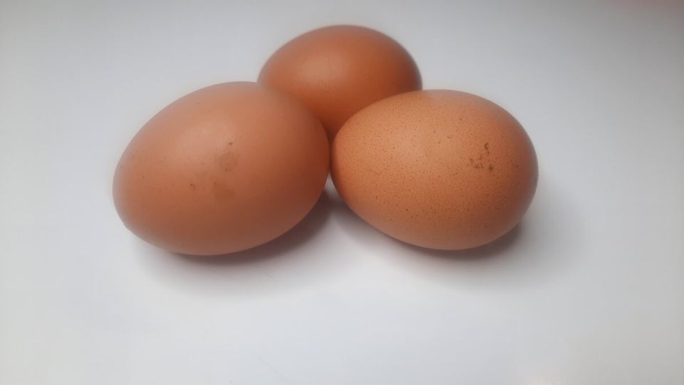 ������� ���������: ������ ���� �� ����� ���� � ������������� ����������