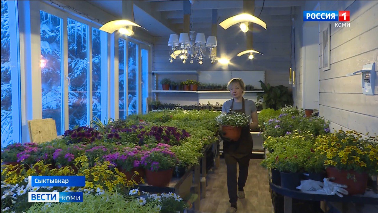 Пока большинство дачников только изучают посевной календарь, Ольга Денисова из Сыктывкара сегодня-завтра планирует вынести свои кашпо с цветами в теплицу